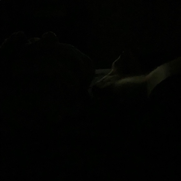 Meet your Posher, James - Picture 1 of 1